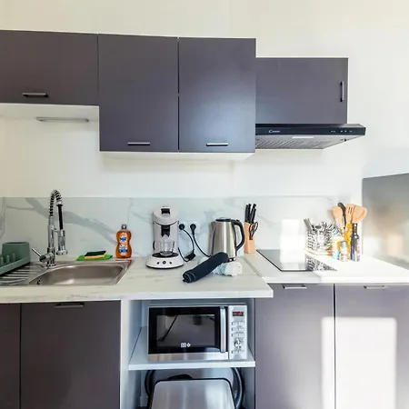 Appartement Chaleureux T2 Au Calme Et Climatise Proximite Centre Lyon Villeurbanne